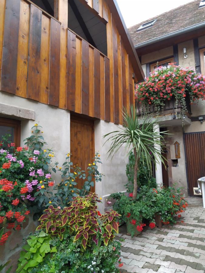 Appartement Duplex Chez Sandra Ottrott Dış mekan fotoğraf