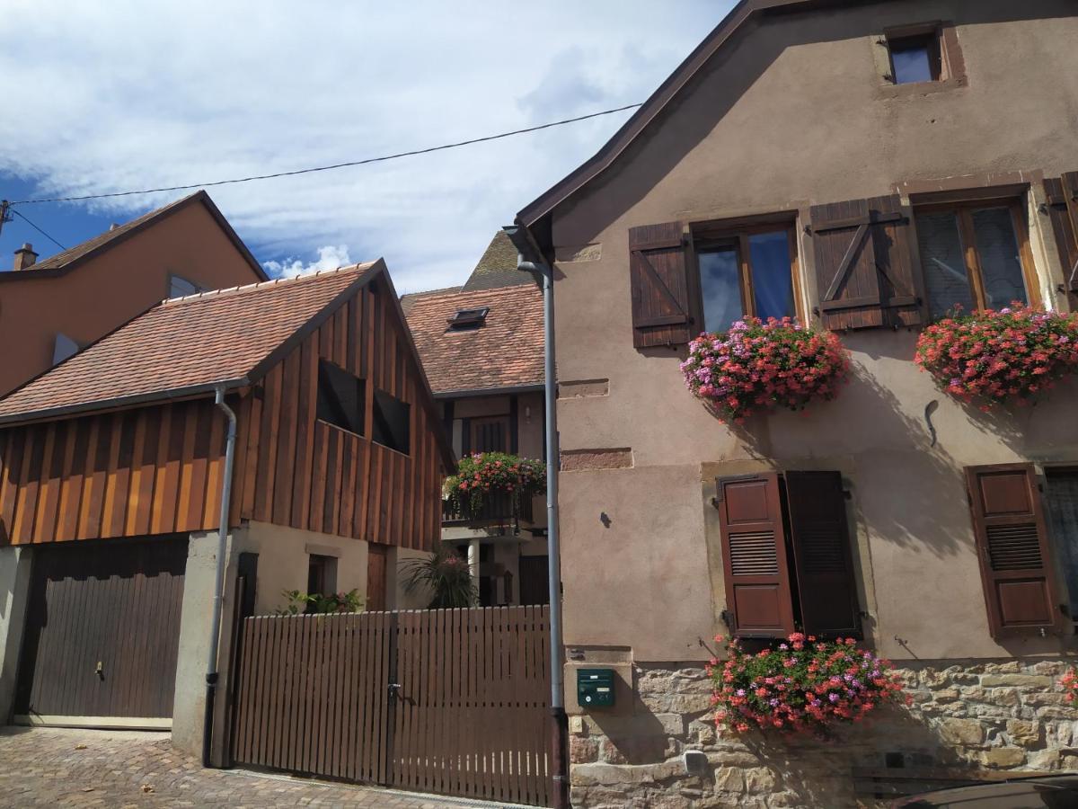 Appartement Duplex Chez Sandra Ottrott Dış mekan fotoğraf